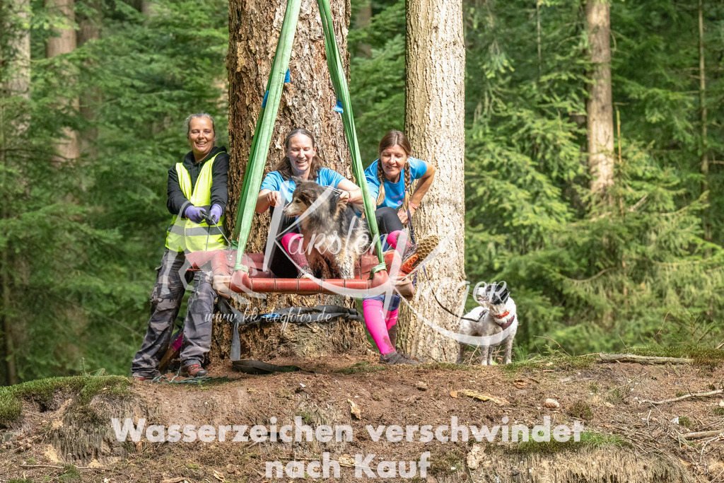 1103_ZZ93958-Bearbeitet | kk-dogfotos