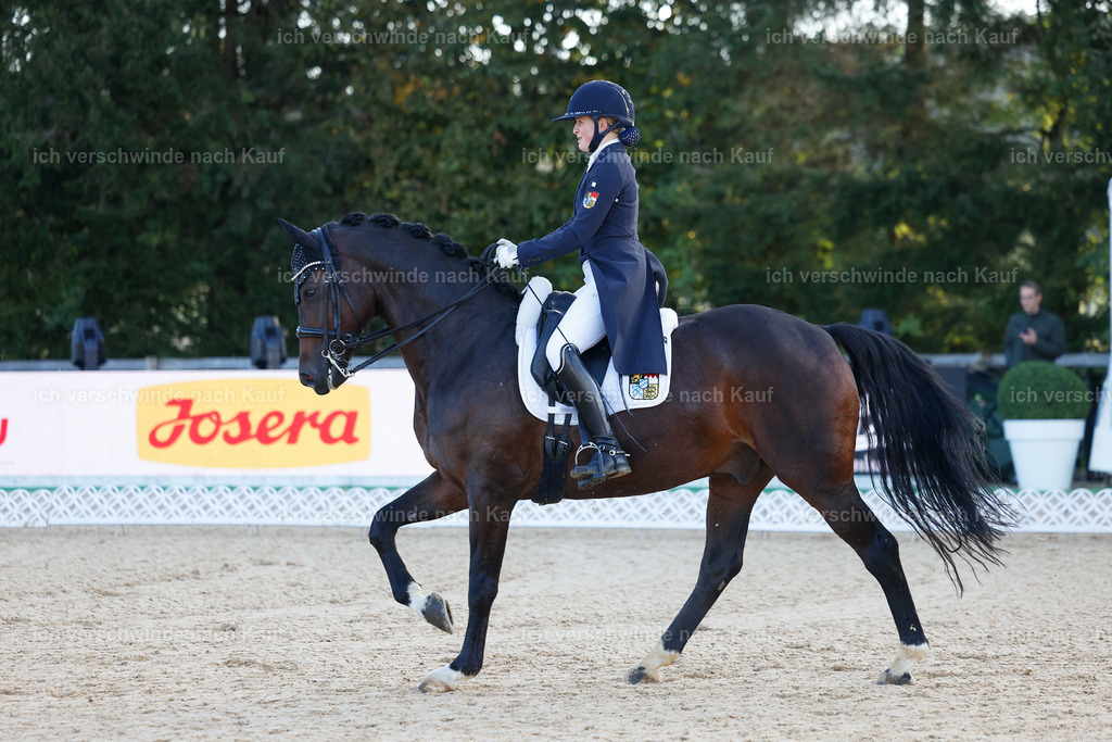 09_1-056-DRESSUR  S_  -StoibPH-5448 | working equitationturnier fotograf videograf stoibphotography marixx film working equitation deutschland reitsport turnierfotografie eventfotografie equestrian events