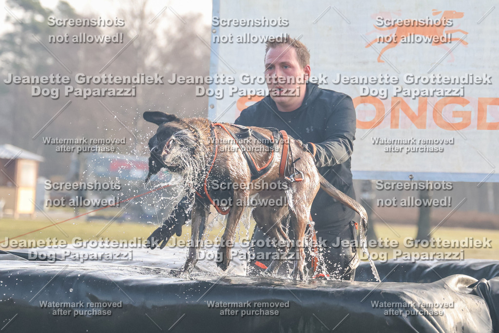 Dog Paparazzi - SD North Sa 830-900-160 | Dog Paparazzi Jeanette Grottendiek Fotografie & Videografie - Realisiert mit Pictrs.com