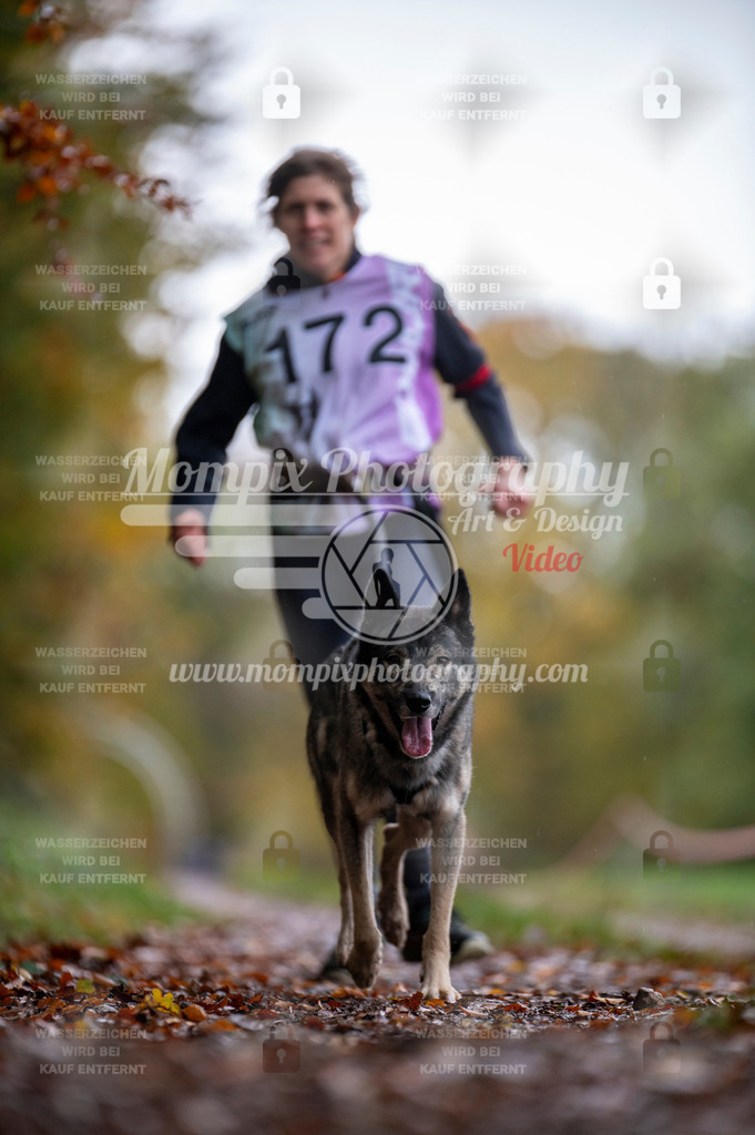 DBT_DAKM_SA_4_11_2023_Canicross-125 | PayLife