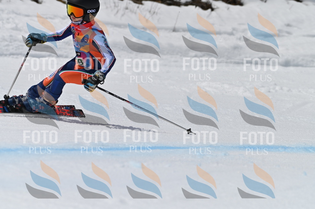 BGV_6733 | holidayphoto