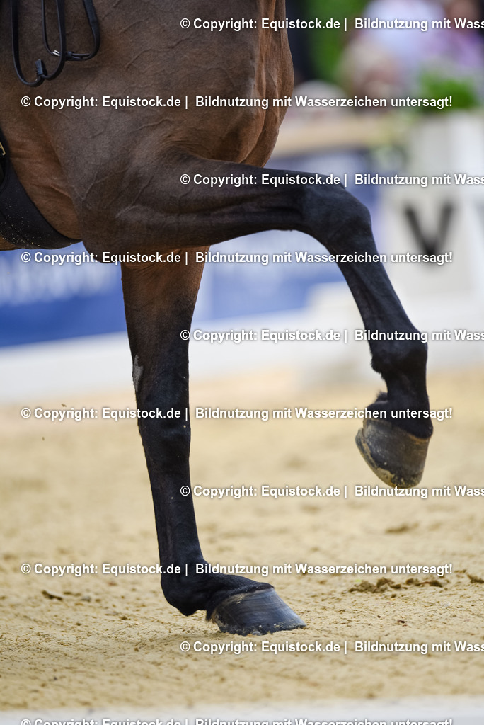 20250607_1_GP-Tour_Dressage_0097 | Foto: Thomas Hartig