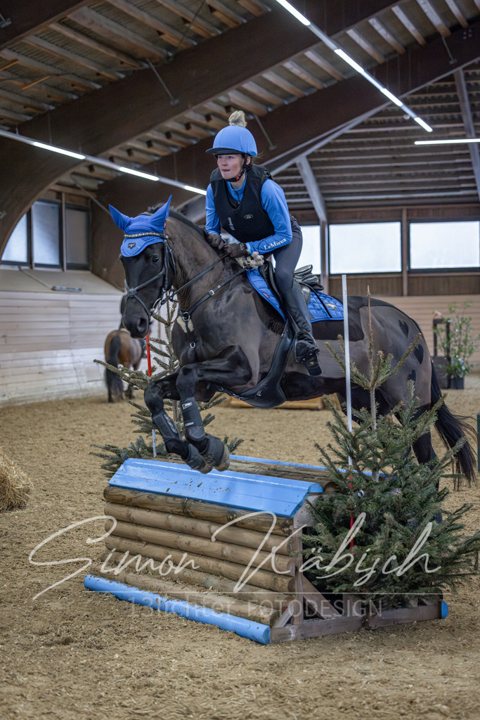 20260221-_3LI9369 | Tierfotografie Pferde, Hunde, Katzen, Haustiere.
Turnierfotografie Reitturniere, Reiten, Springreiten, Dressur in Hanau, dem Main-Kinzig-Kreis und dem Rhein-Main- Gebiet um Frankfurt