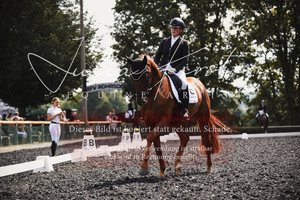 DSC_4198 | Pferde- und Turnierfotografie in Westsachsen. Pferdeportraits, Auftragszeichnungen und intuitive Kunst.