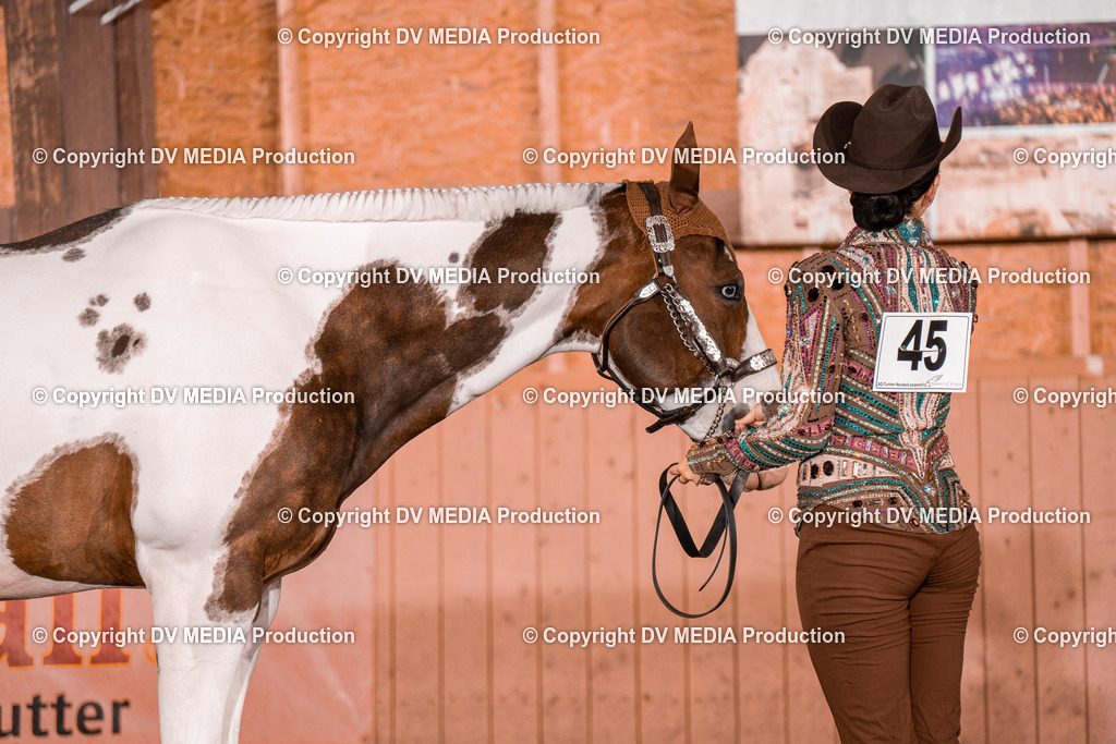 NE201518 | dv-media-shop - Realisiert mit Pictrs.com