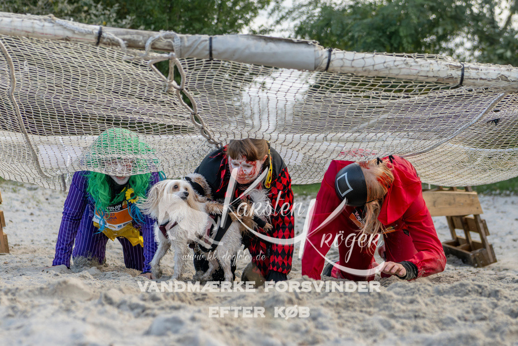 1630_ZZ97752 | kk-dogfotos