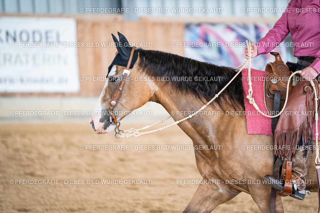 DSC08890 | Pferdegrafie