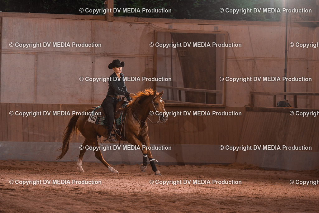 NE201464 | dv-media-shop - Realisiert mit Pictrs.com