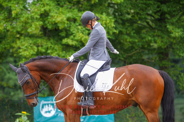 DKP41728 | Turniersportfotografie; Pferdefotografie; Dressurfotografie