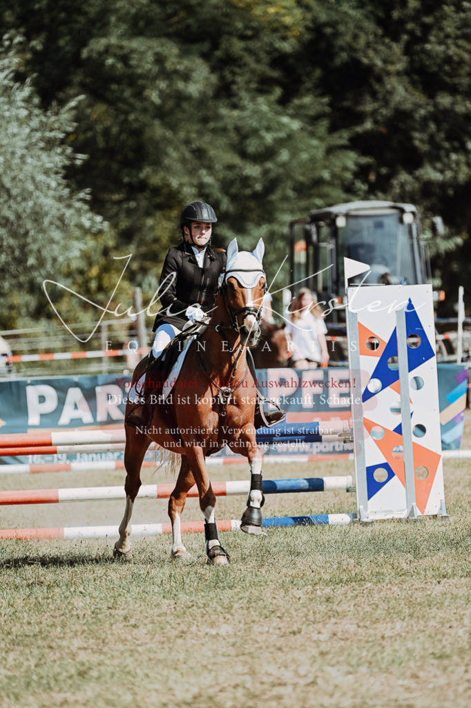 DSC_9589 | Pferde- und Turnierfotografie in Westsachsen. Pferdeportraits, Auftragszeichnungen und intuitive Kunst.