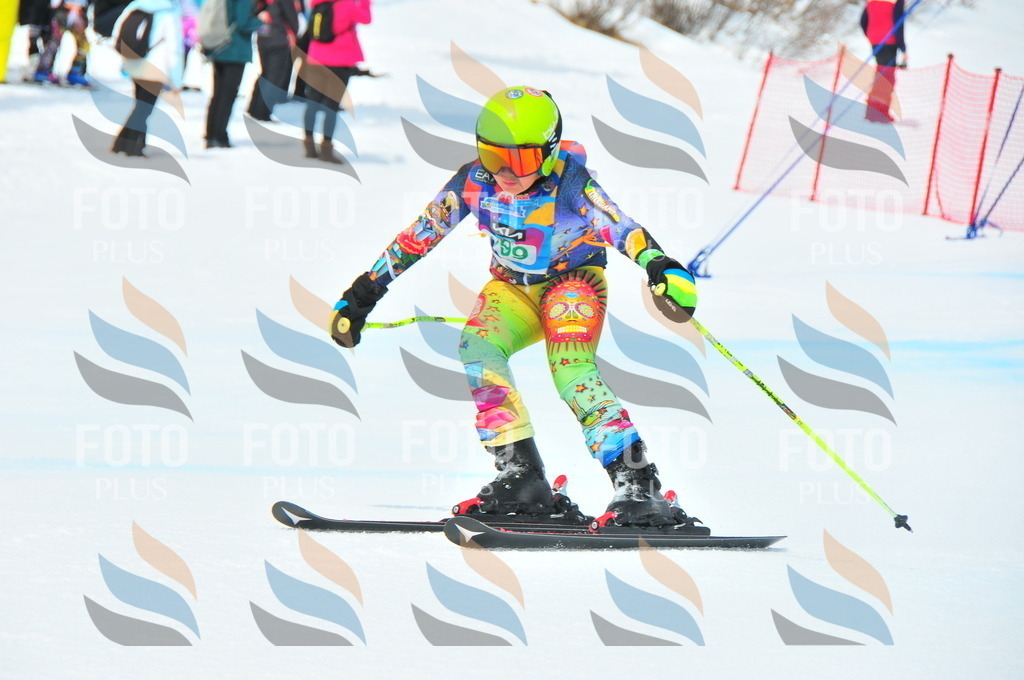 DSC_1828 | holidayphoto