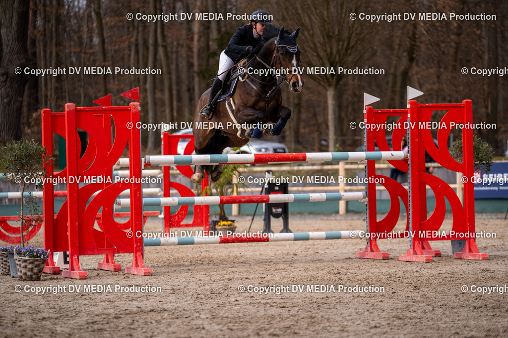 Kranichstein Tag 2-2119 | dv-media-shop - Realisiert mit Pictrs.com