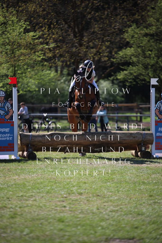 IMGT8798 | pl-fotografie