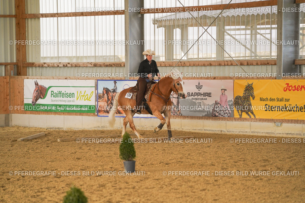 DSC02837 | Pferdegrafie