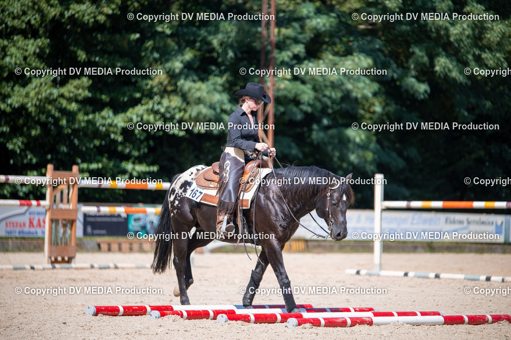 ZS1_1669 | dv-media-shop - Realisiert mit Pictrs.com