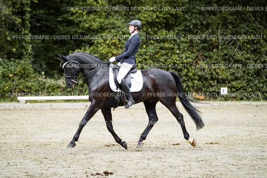 DSC09988 | Pferdegrafie