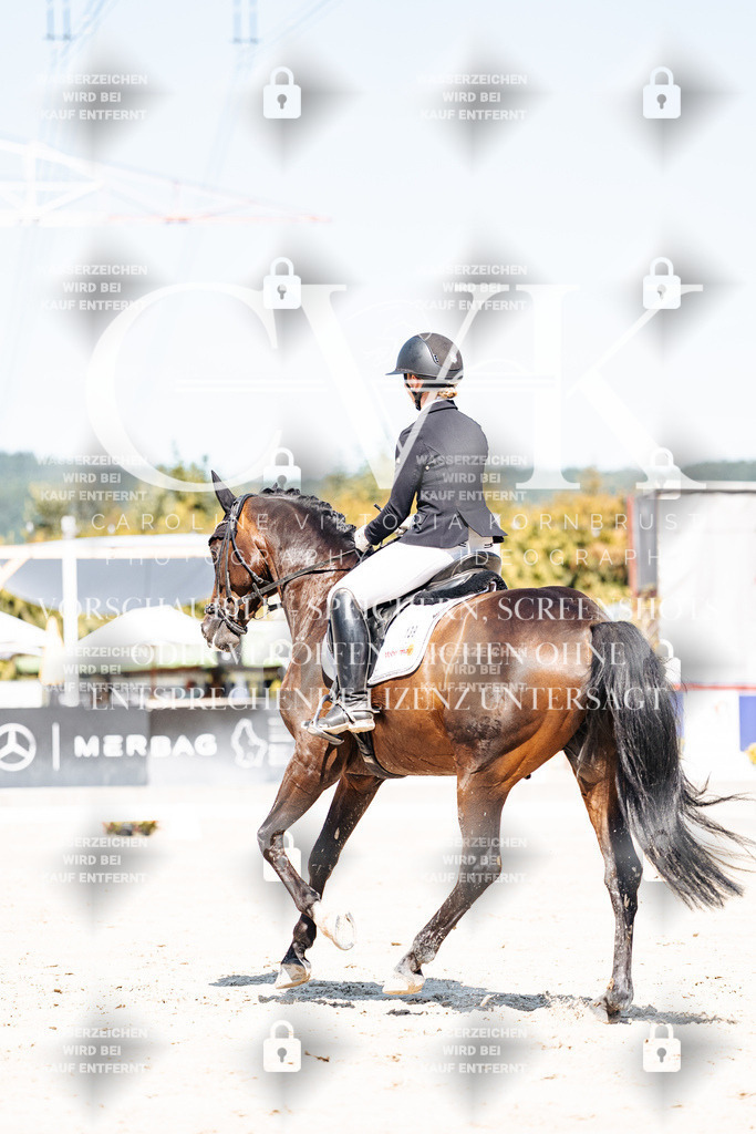 CK909535 | Turnierfotografie Pferdefotografie Trier Rheinland-Pfalz Pferdesport Reitsport Tierfotografie Sportfotografie Pferdevideo Pferdevideografie Equestrianvideography equestrianphotography  - Realisiert mit Pictrs.com