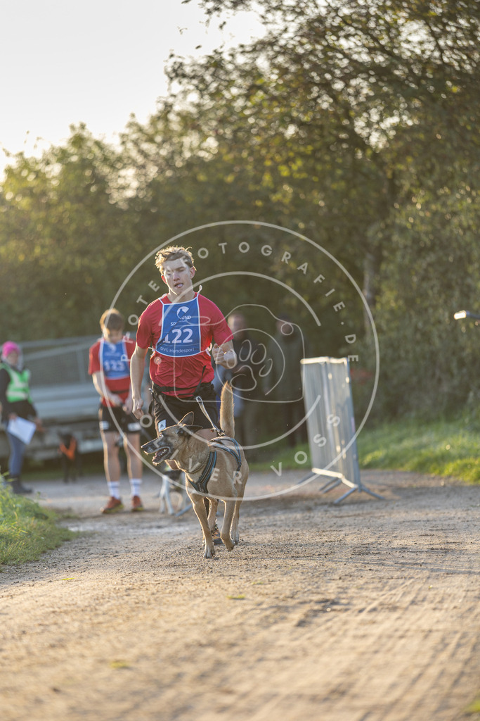 Pfotenfotografie.de_DV3A2388 | Hundefotografie, Tierfotograf, Pfotenfotografie, Fotoshooting Hund, Hunde Portrait, Hundesport, Hundeportraits, Heideshooting, Hunde, Sportfotograf, Hundefotograf, Turnierhundsport, THS, canicross - Realisiert mit Pictrs.com
