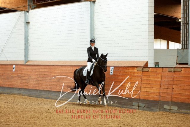 _62_6631 | Turniersportfotografie; Pferdefotografie; Dressurfotografie