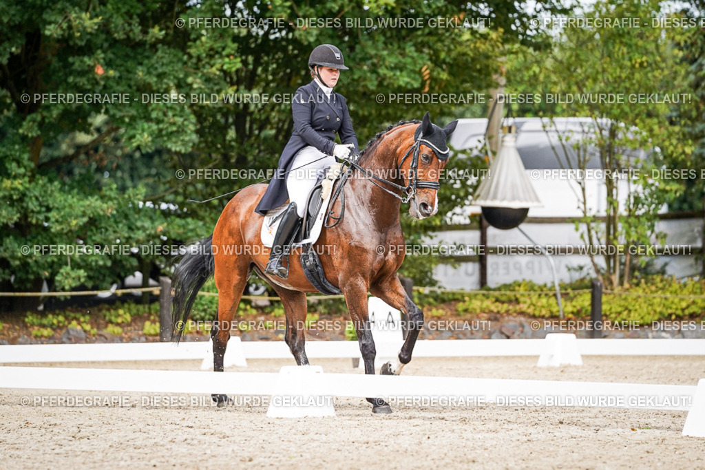 DSC06572 | Pferdegrafie