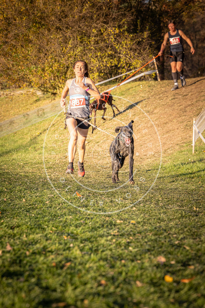 CaniXpix_0L8A1221 | Hundefotografie, Tierfotograf, Pfotenfotografie, Fotoshooting Hund, Hunde Portrait, Hundesport, Hundeportraits, Heideshooting, Hunde, Sportfotograf, Hundefotograf, Turnierhundsport, THS,  - Realisiert mit Pictrs.com