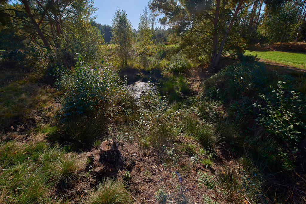 Der Schlottengraben in den Schlottenwiesen 02 | Bedeutsame Landschaften Deutschlands - Realisiert mit Pictrs.com