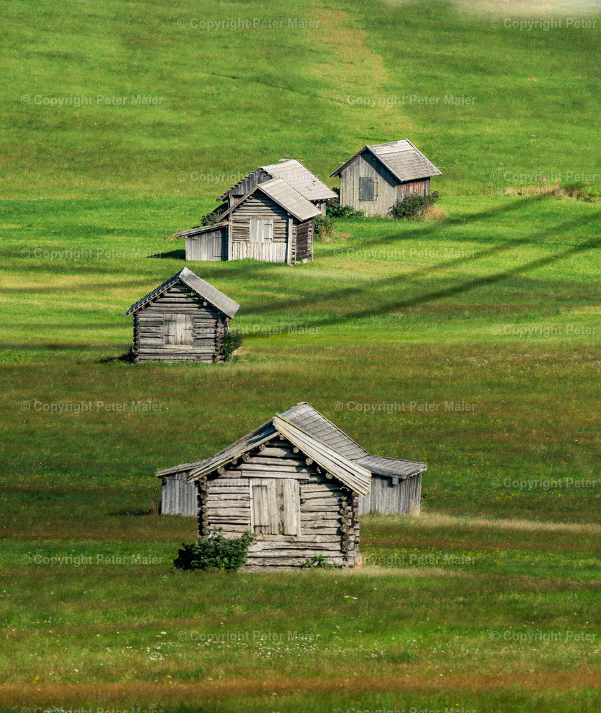 Höfe_Trail_2022-3927 | piet_flosse