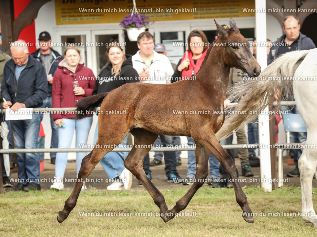 598A2877 | photographylinaismer - Realisiert mit Pictrs.com