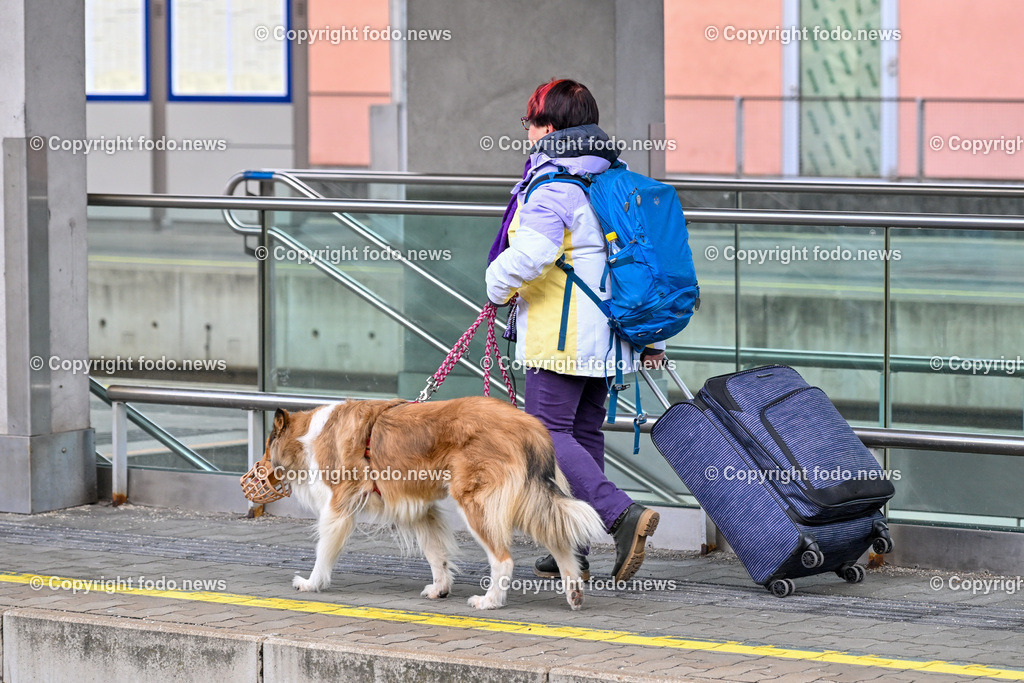 Hauptbahnhof Linz_ Bahnhofshalle_ Bahnsteig_ 26.12.2023-35 | 26.12.2023, Hauptbahnhof Linz, AUT, Bahnhofshalle und Bahnsteig, im Bild Bahnhofshalle, Bahnsteig, Zug, Fahrgaeste, Ticket, Ticketautomat, OEBB, Reisende, Gepaeck, Railjet, Westbahn, ICE, DB, Schild, Anzeigetafel, Linz