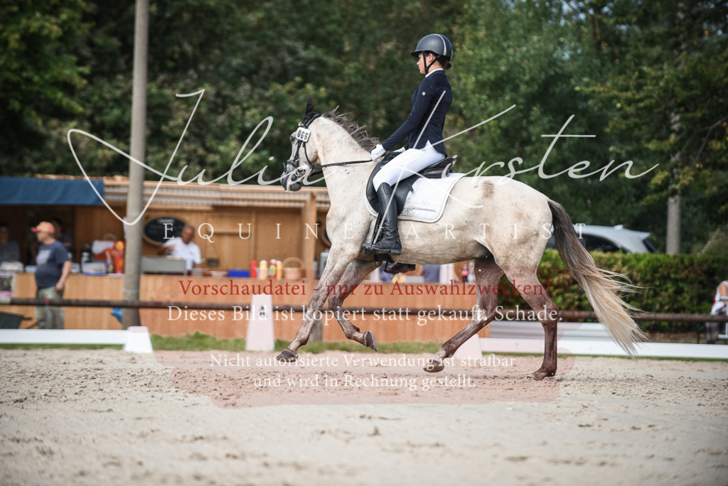 DSC_8683 | Pferde- und Turnierfotografie in Westsachsen. Pferdeportraits, Auftragszeichnungen und intuitive Kunst.