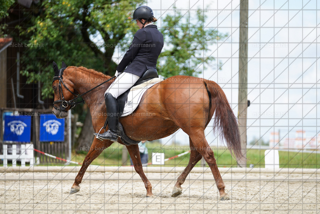 20230826-FAH05624 | Forstinning, 2023, Dressurturnier, Turniersportbilder, Turnierfotografen Bayern, Fotoagentur Herrmann, Reitsportfotografie, Turnierbilder