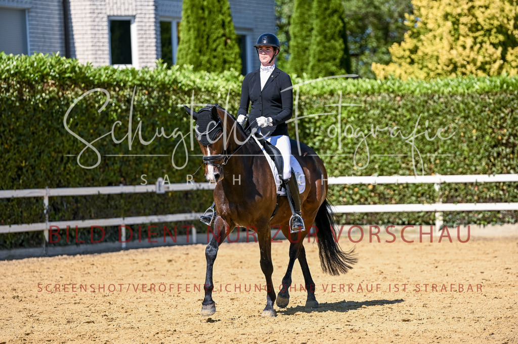 Schugtsche-Aluta25-50.Dressurpferdeprf.L-76 | Schugtsche Fotografie - Realisiert mit Pictrs.com