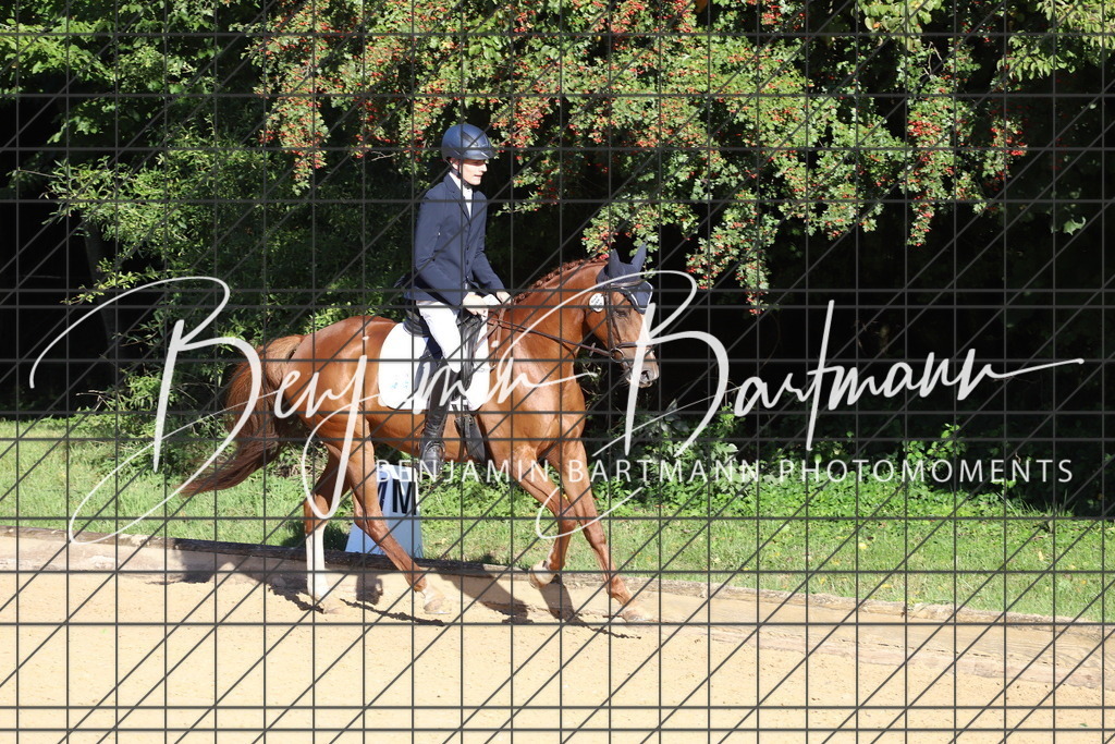 IMG_4901 | Benjamin Bartmann Photomoments