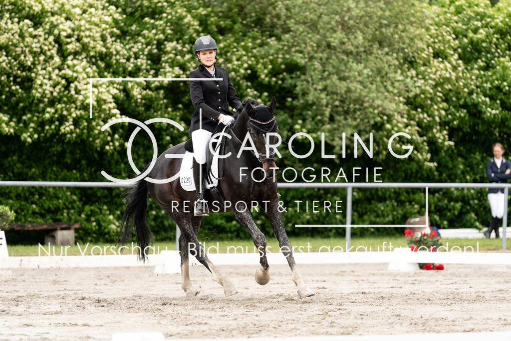 DSC07227 | Carolin Gieschke