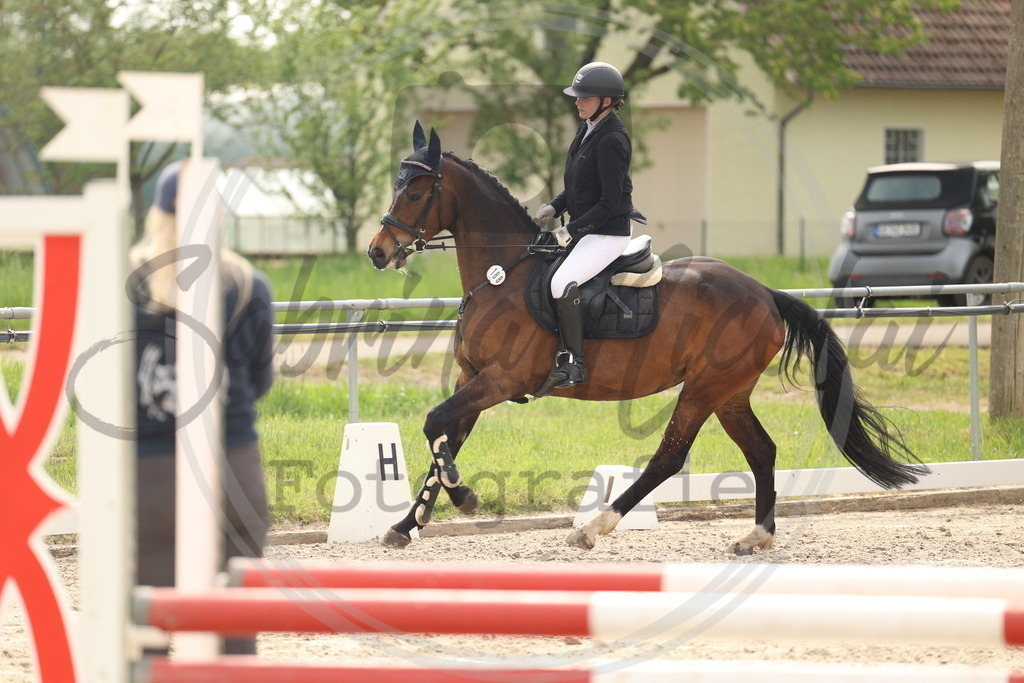 994A7787 | sabrinanicolaifotografie - Realisiert mit Pictrs.com