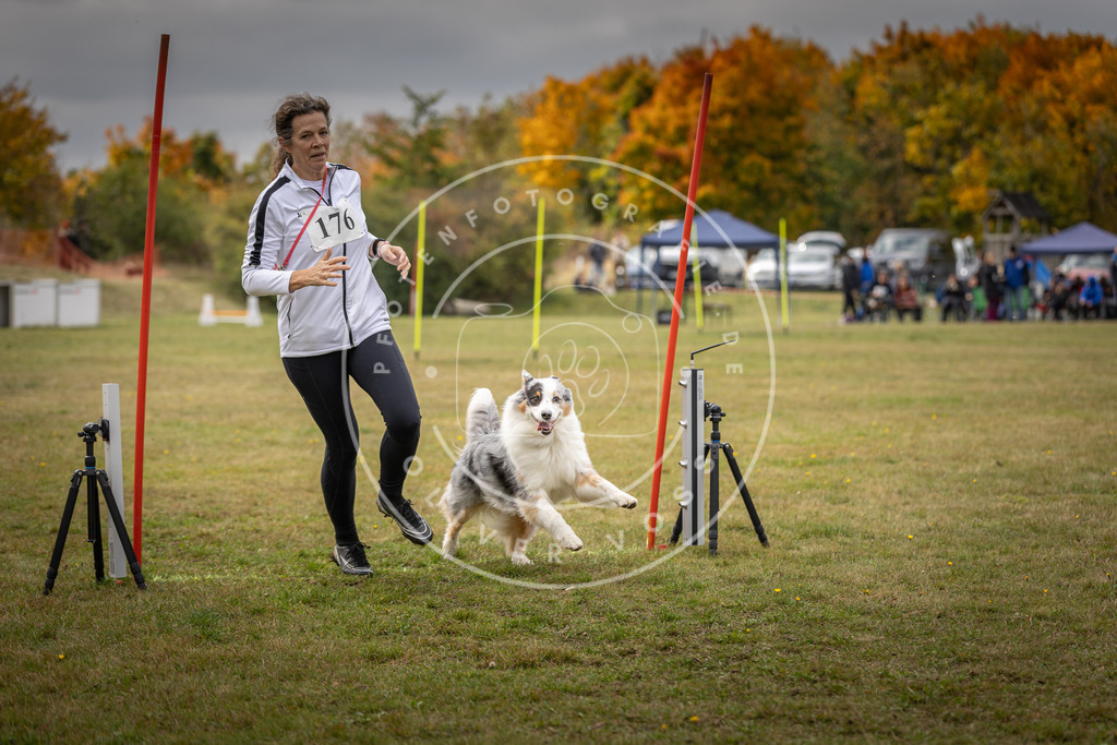 Pfotenfotografie_DV3A5809 | Hundefotografie, Tierfotograf, Pfotenfotografie, Fotoshooting Hund, Hunde Portrait, Hundesport, Hundeportraits, Heideshooting, Hunde, Sportfotograf, Hundefotograf, Turnierhundsport, THS,  - Realisiert mit Pictrs.com