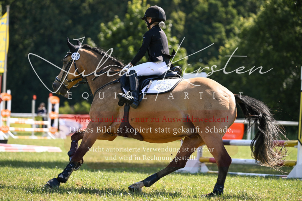 DSC_8810 | Pferde- und Turnierfotografie in Westsachsen. Pferdeportraits, Auftragszeichnungen und intuitive Kunst.