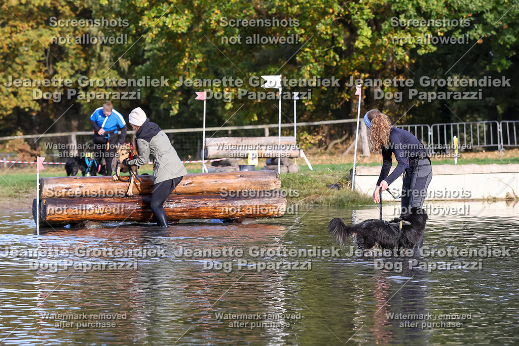 Dog Paparazzi - Strongdog 10-25-8418 | Dog Paparazzi Jeanette Grottendiek Fotografie & Videografie - Realisiert mit Pictrs.com