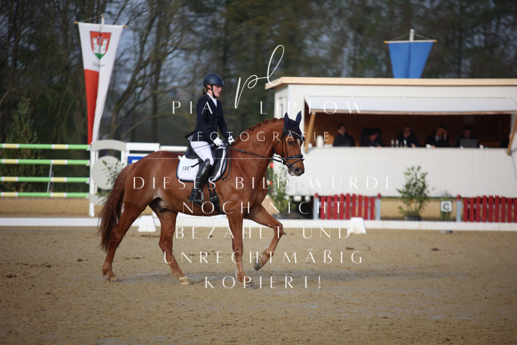 IMGT8350 | pl-fotografie