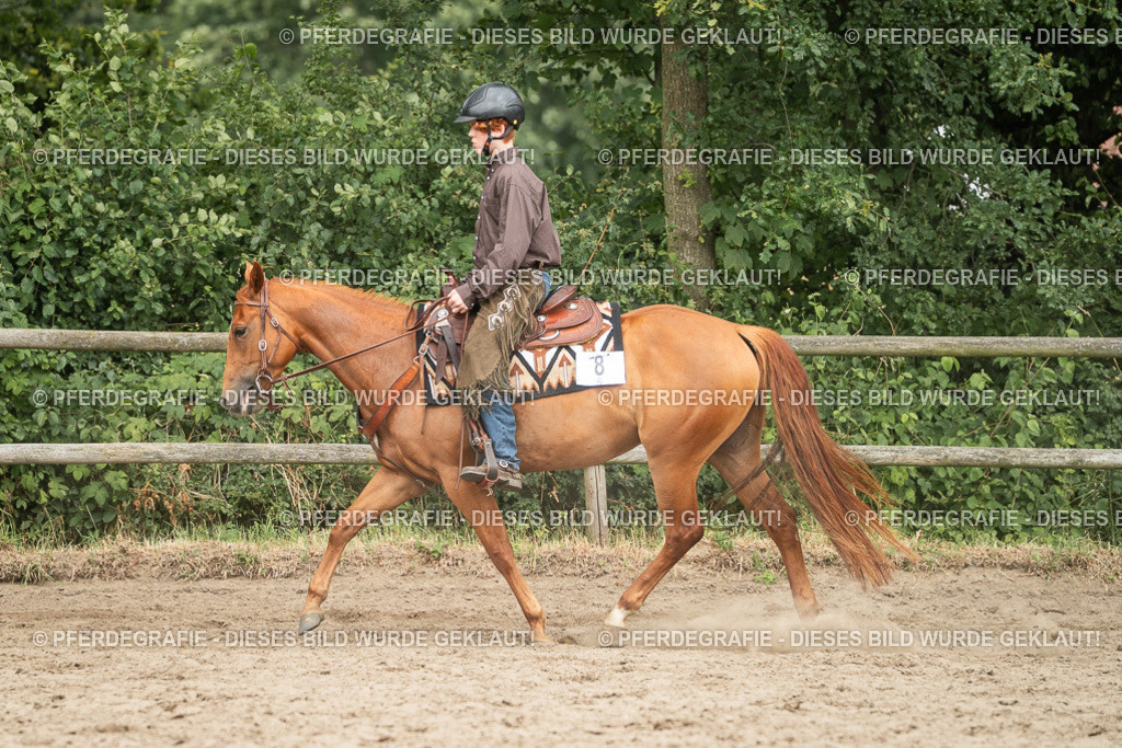 DSC03844 | Pferdegrafie