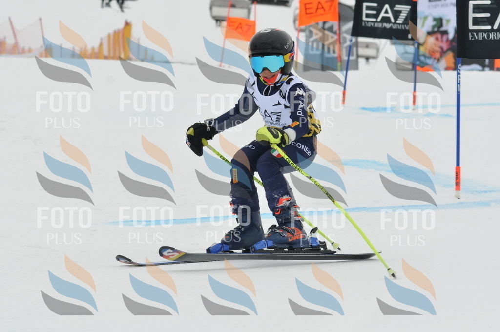 DSC_8579 | holidayphoto