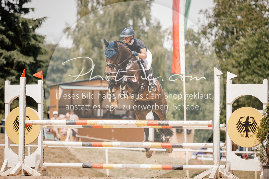 3I6A7798 | Stimmungsvolle Portraits und Reitsportfotografie im Ruhrgebiet und im Münsterland.

Pferdefotografie, Hundefotografie, Tierfotografie, Reportagen, Portraits von Tier und Mensch, Turnierfotografie in Bochum, Recklinghausen, Marl, Haltern am See, Dülmen.. - Realisiert mit Pictrs.com