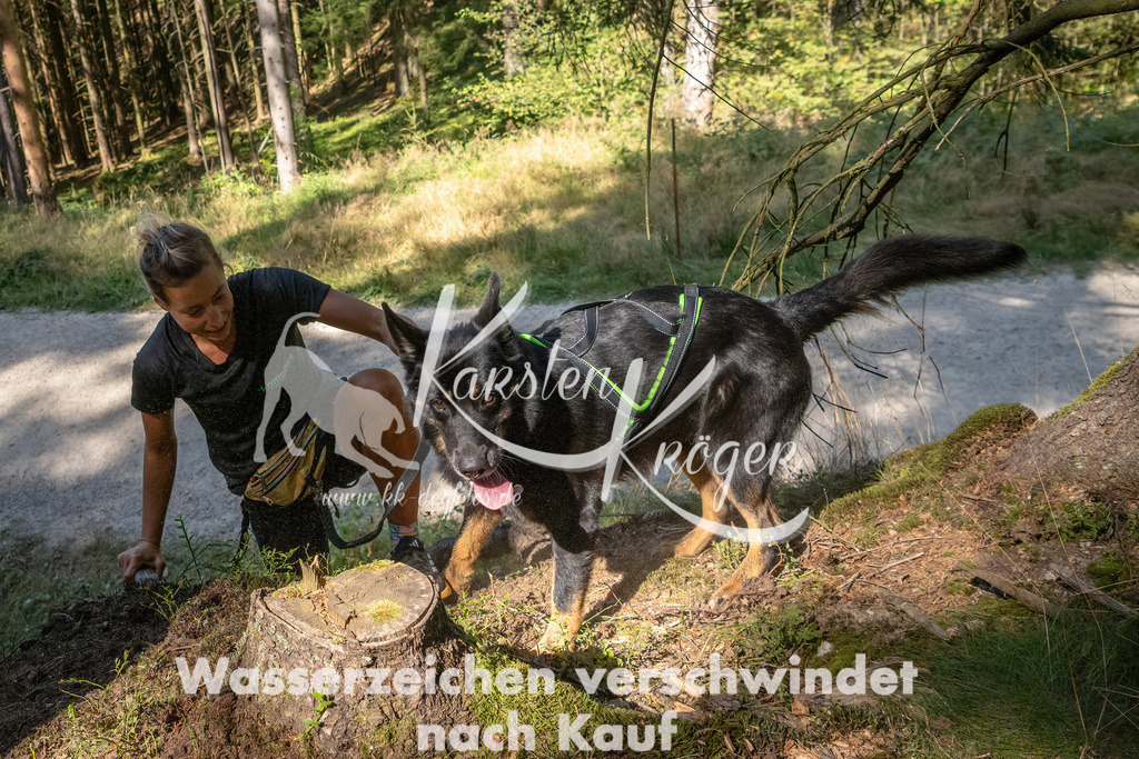 1241_ZZ94916 | kk-dogfotos