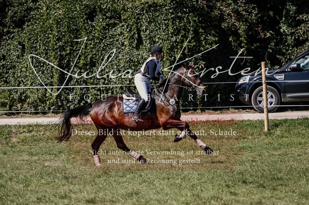 DSC_1853 | Pferde- und Turnierfotografie in Westsachsen. Pferdeportraits, Auftragszeichnungen und intuitive Kunst.