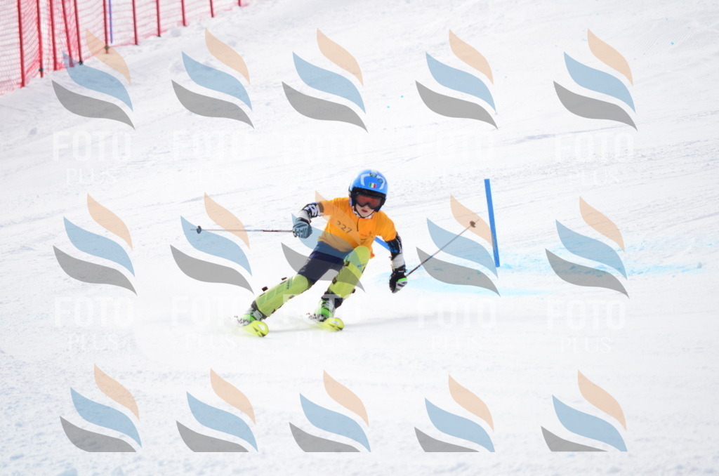 C8282 | holidayphoto