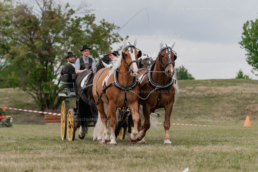 Showprogramm-354 | working equitationturnier fotograf videograf stoibphotography marixx film working equitation deutschland reitsport turnierfotografie eventfotografie equestrian events
