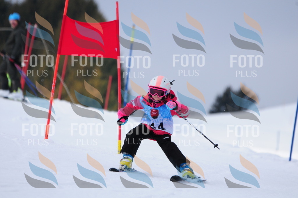 A3532 | holidayphoto