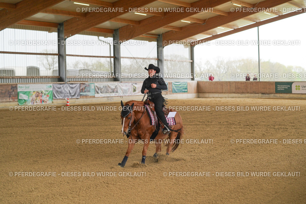 DSC07035 | Pferdegrafie