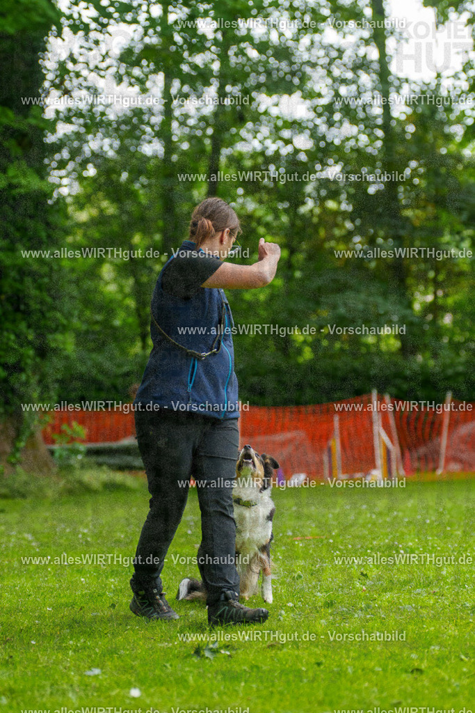 @allesWIRTHgut_Tierfotografie - www.allesWIRTHgut.de - 091739-7R506869 | Professionelle Tierfotografie in Mönchengladbach von Daniel Wirth (allesWIRTHgut). Liebevolle & natürliche Bilder von Hunden & Katzen für unvergessliche Erinnerungen.