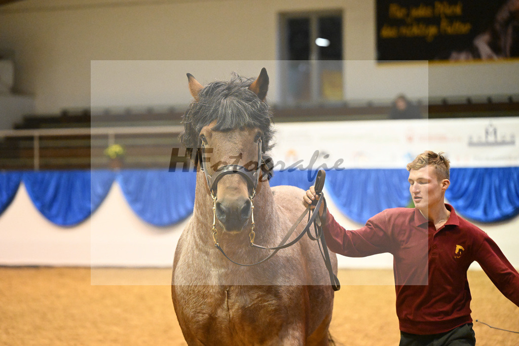 Kat-Nr. 42 Albrecht von Schernikau_Roemmer_53221251 | hf-fotografie - Realizzato con Pictrs.com